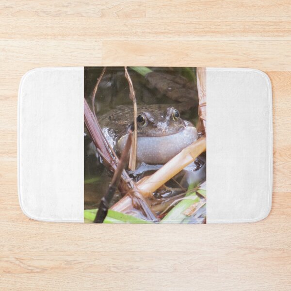Item preview, Frog (Something Different) designed and sold by BsPhotographs.