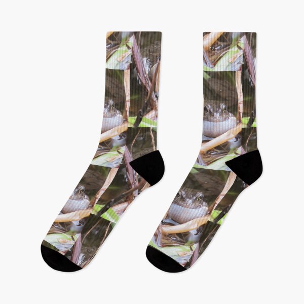 Item preview, Frog (Something Different) designed and sold by BsPhotographs.