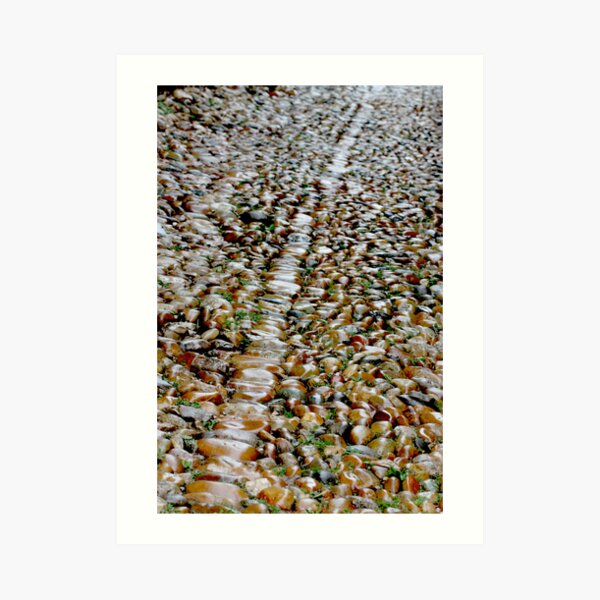 the old way Art Print