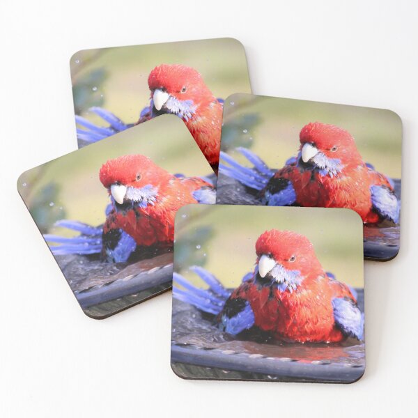 Item preview, Crimson Rosella (platycercus elegans) bathing, South Australia designed and sold by NanaRusty.
