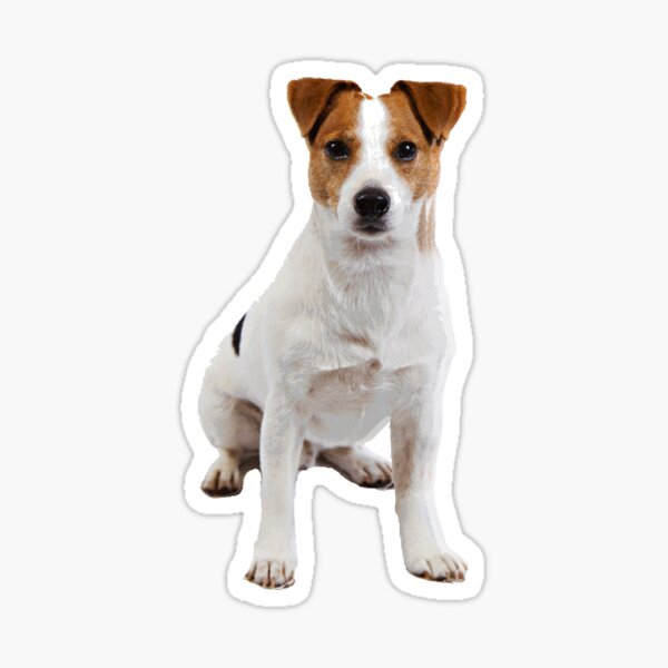 Jack Russell Sticker