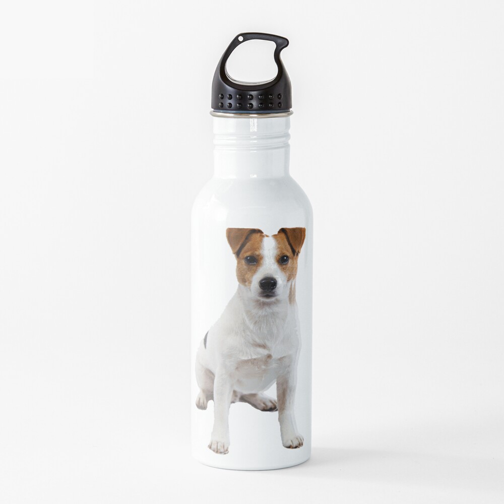 Jack Russell Water Bottle