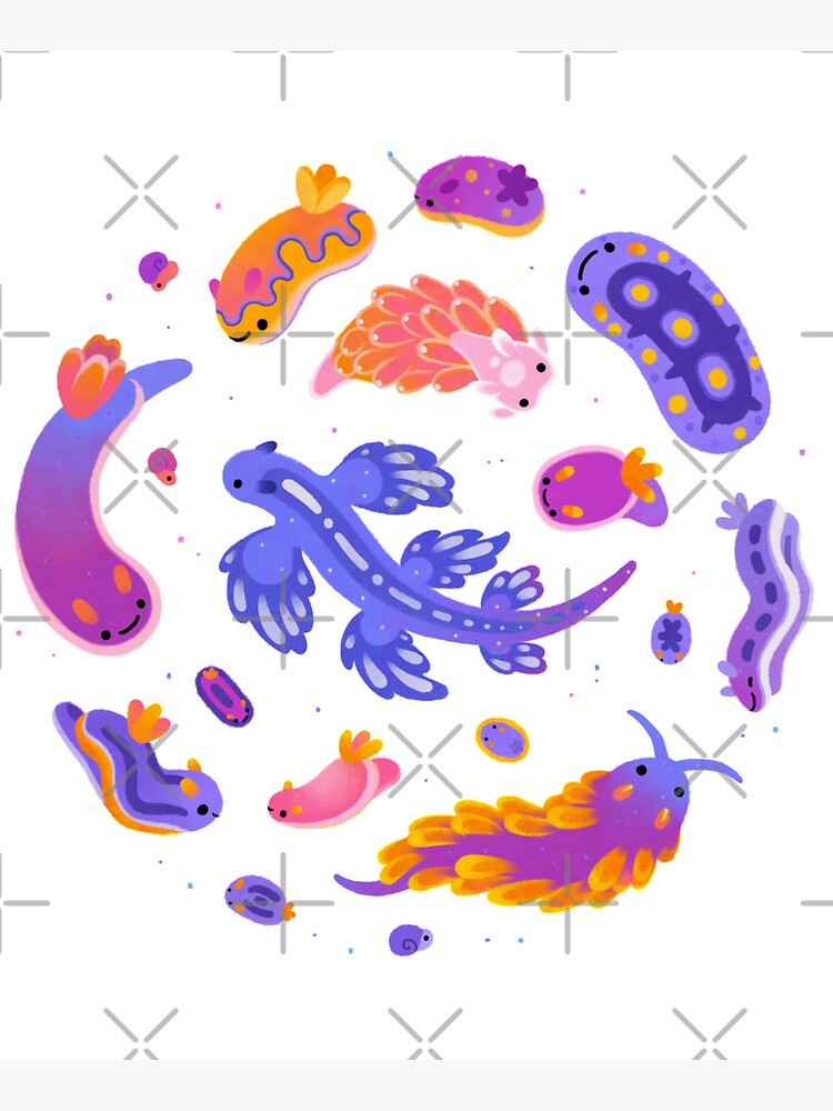 Sea slug by pikaole