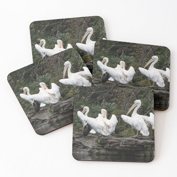 Item preview, Pelicans designed and sold by Matt Malloy.