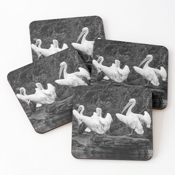 Item preview, Pelicans Mono designed and sold by Matt Malloy.