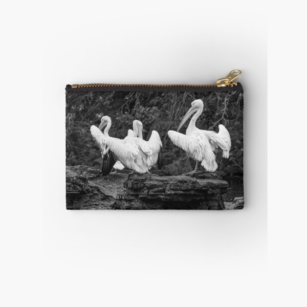 Item preview, Pelicans Mono designed and sold by Matt Malloy.