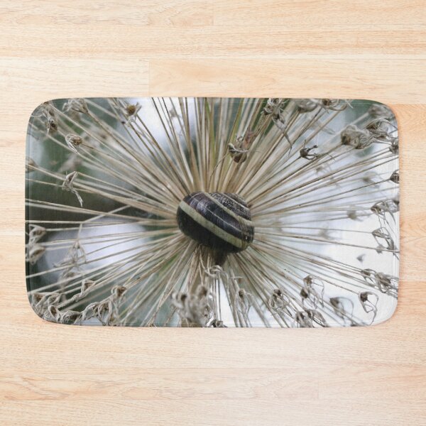 Item preview, Warp speed ahead, Mister Snail! designed and sold by cuprum.