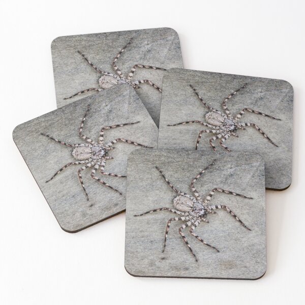 Item preview, Wall Spider designed and sold by Islandjunkie09.