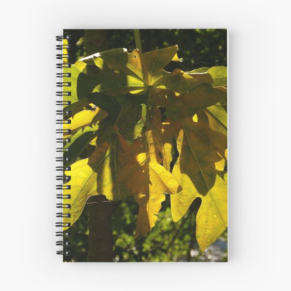 Item preview, nature and sun II - naturaleza y sombra designed and sold by Bernhard Matejka.