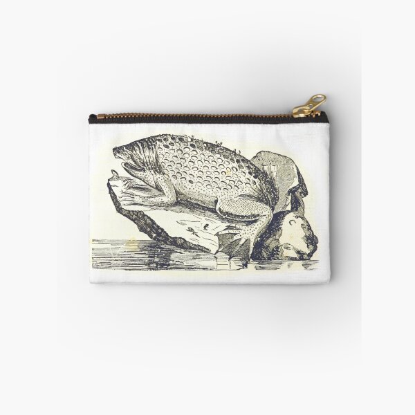 Item preview, surinam toad illustration designed and sold by Vintage Designs +.