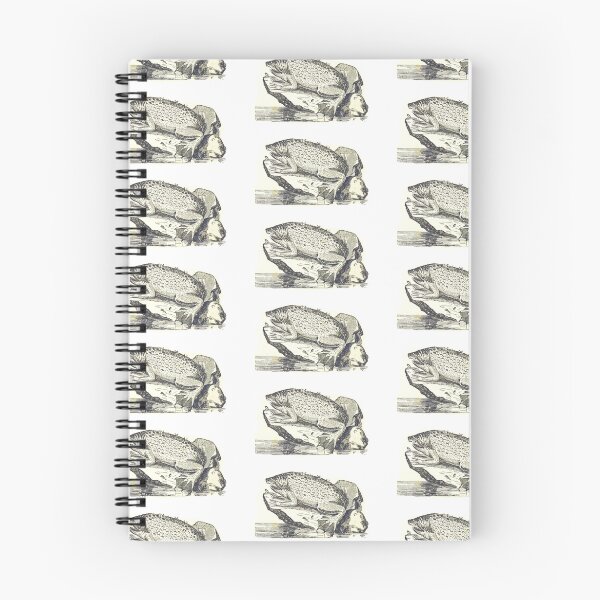 Item preview, surinam toad illustration designed and sold by Vintage Designs +.