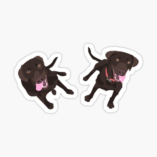 11+ Chocolate Lab Gifts