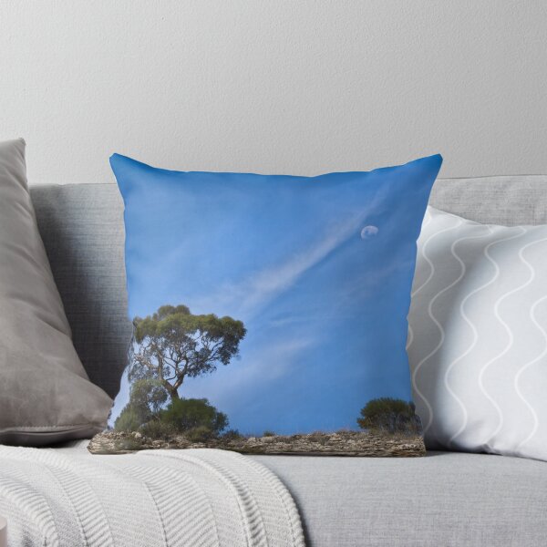 Item preview, Late Afternoon Moon Rise Murray River designed and sold by pcbermagui.