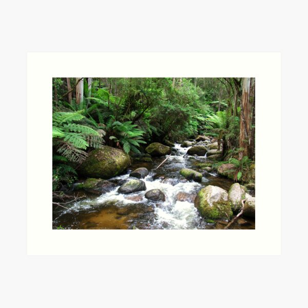 Item preview, Toorongo River 2, Vic. designed and sold by Charles Kosina.