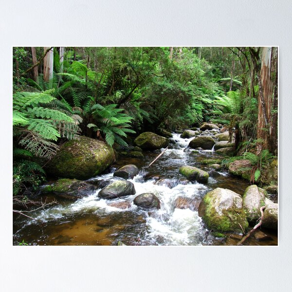 Item preview, Toorongo River 2, Vic. designed and sold by Charles Kosina.