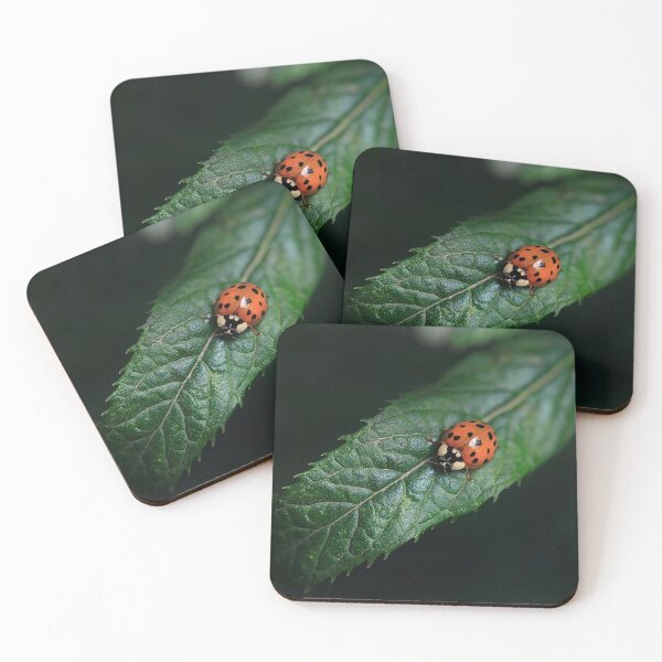Item preview, red ladybug sitting on green leaf designed and sold by olena2552.
