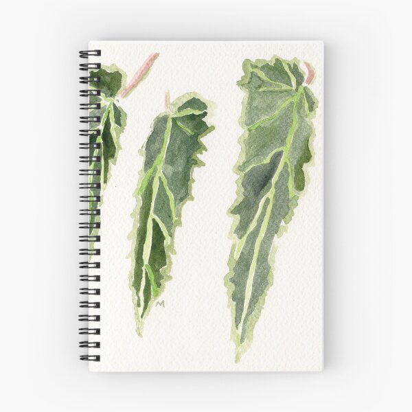 Item preview, Four Begonia Leaves designed and sold by Gabriele Maurus.