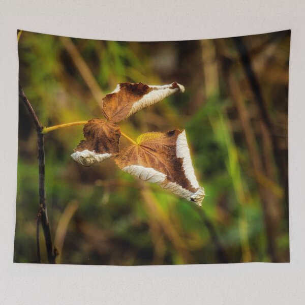 Item preview, Silver Lining designed and sold by Barry W  King.