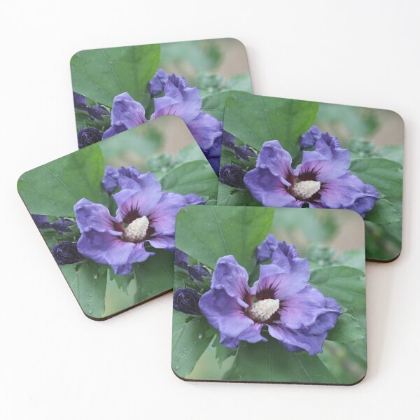 Item preview, Hibiscus syriacus designed and sold by cuprum.