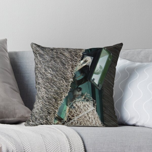 Item preview, Desirable Residence designed and sold by lynn carter.