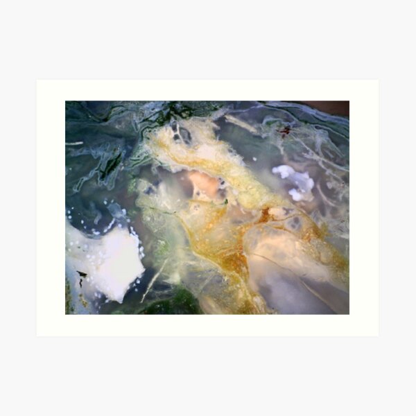 Golden Thread (Petrified Wood) Art Print
