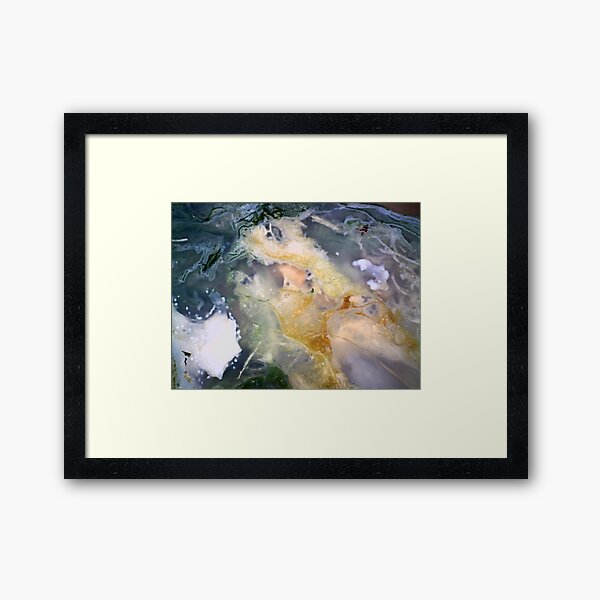 Golden Thread (Petrified Wood) Framed Art Print