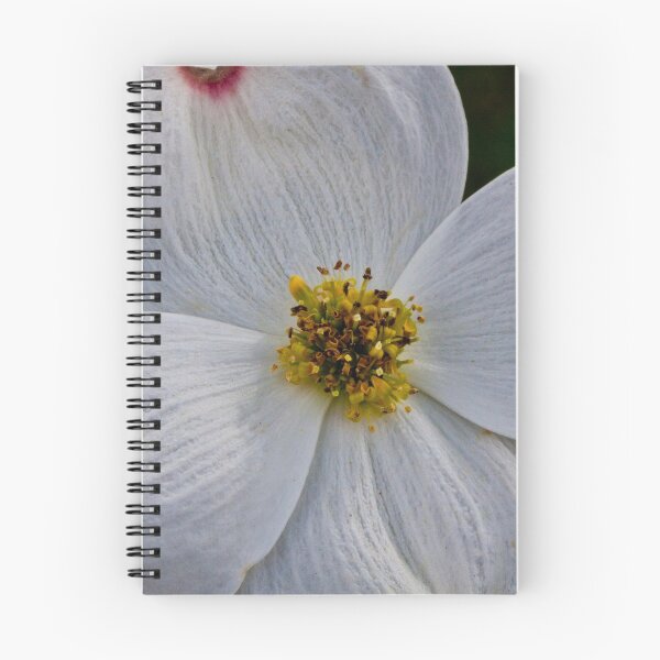Item preview, Dogwood Bloom Piedmont Park Atlanta GA  designed and sold by Phillip S. Vullo II.