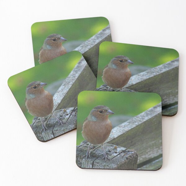 Item preview, Male Chaffinch Bird designed and sold by ellenmpics.