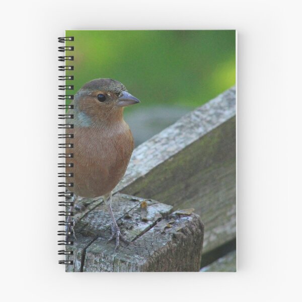 Item preview, Male Chaffinch Bird designed and sold by ellenmpics.