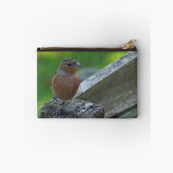Item preview, Male Chaffinch Bird designed and sold by ellenmpics.