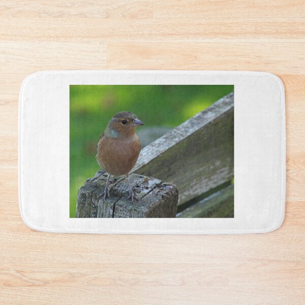 Item preview, Male Chaffinch Bird designed and sold by ellenmpics.