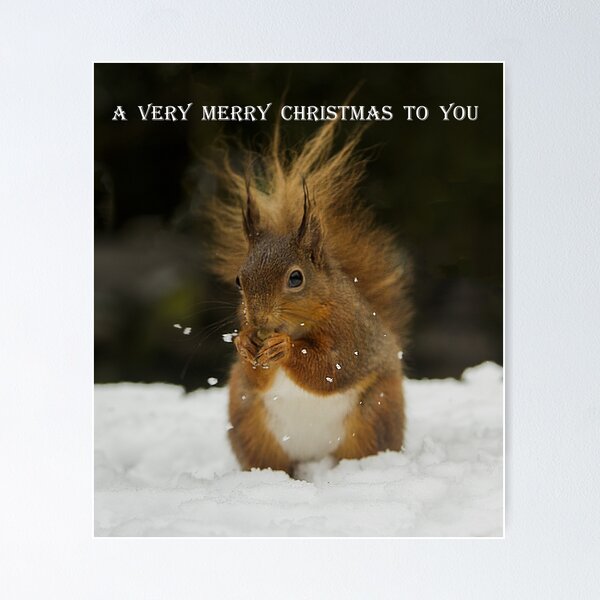 Item preview, A Very Merry Christmas To You designed and sold by Sandra Cockayne.