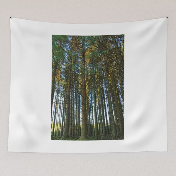 Item preview, Tall Trees designed and sold by ellenmpics.