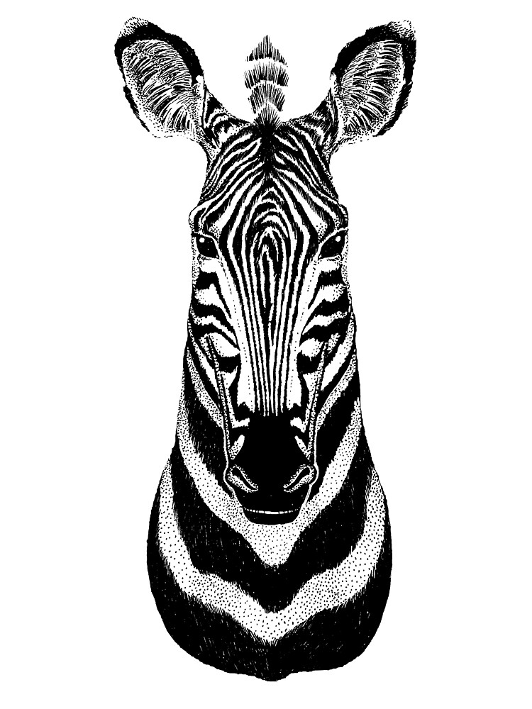 Zebra by Igor Levin on Dribbble