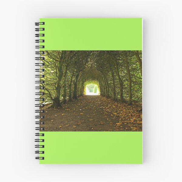 Item preview, Tree Tunnel designed and sold by ellenmpics.