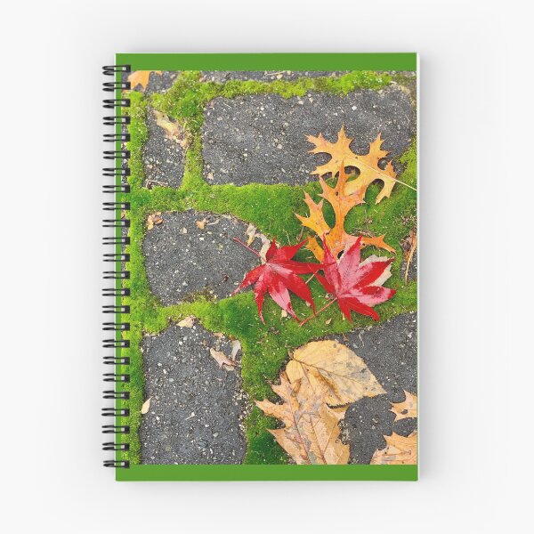 Item preview, US - MA - maple and moss as fall departs designed and sold by renprovo.