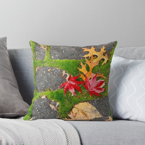 Item preview, US - MA - maple and moss as fall departs designed and sold by renprovo.