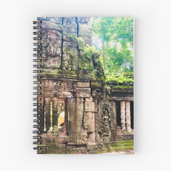Item preview, Cambodia - Siem Reap - windows and moss designed and sold by renprovo.