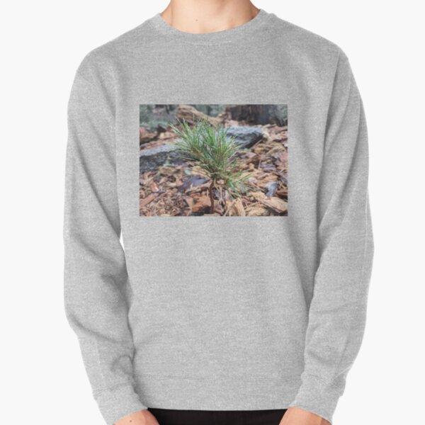 Baby sequoia Pullover Sweatshirt