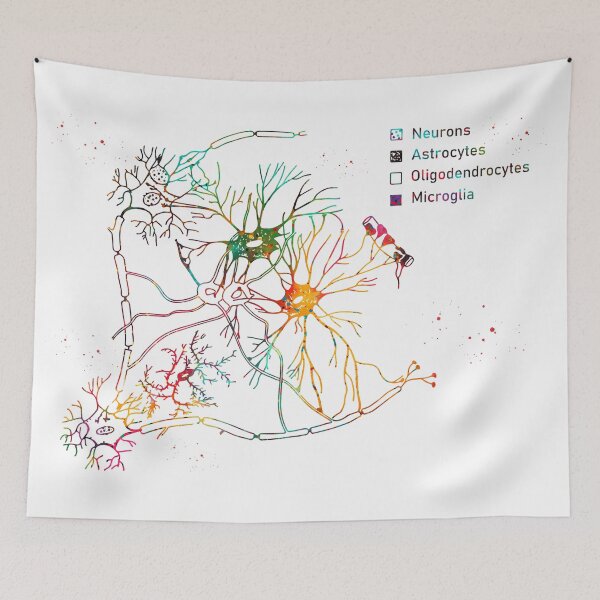 Item preview, Cortical pyramidal cells designed and sold by Liededrom..