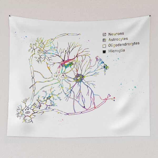 Item preview, Cortical pyramidal cells designed and sold by Liededrom..