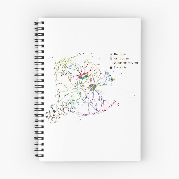 Item preview, Cortical pyramidal cells designed and sold by Liededrom..