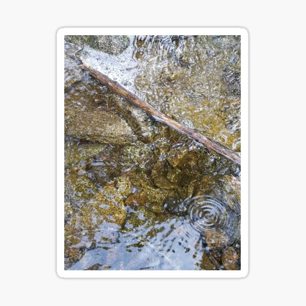 forest creek Sticker