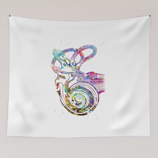 Item preview, Ear anatomy designed and sold by Liededrom..