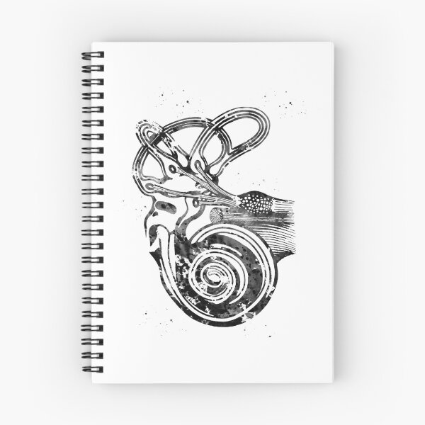 Item preview, Ear anatomy designed and sold by Liededrom..