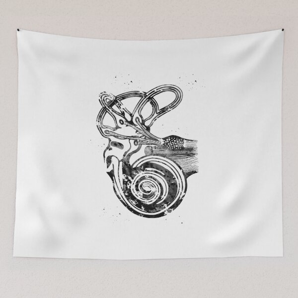 Item preview, Ear anatomy designed and sold by Liededrom..