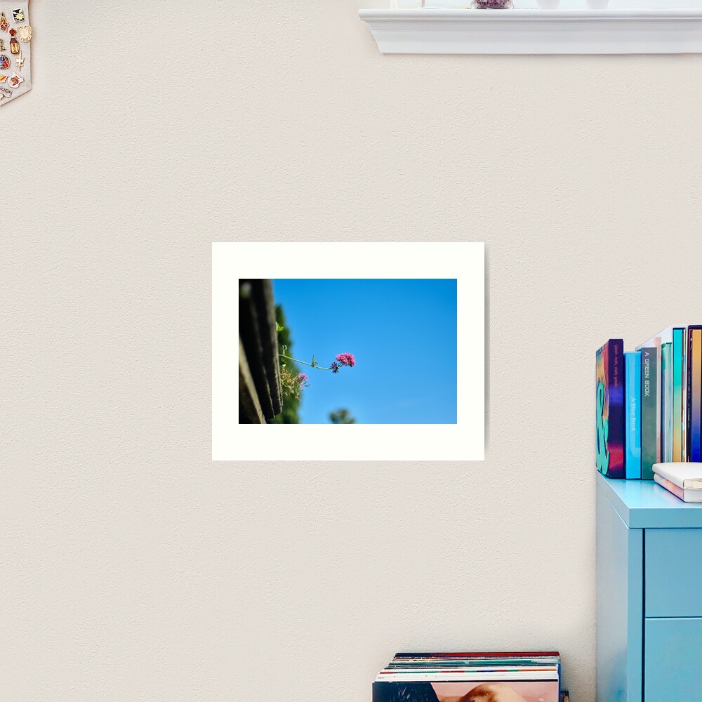 Blooming Pink Flower Art Print
