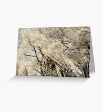 Light in the Willows Greeting Card