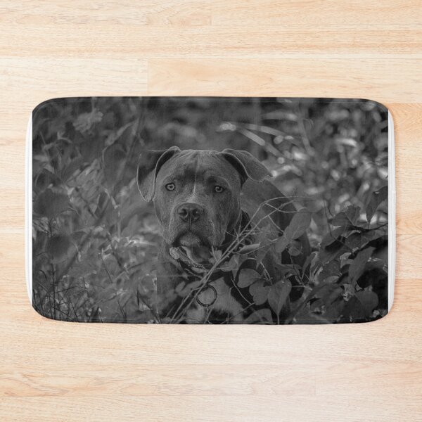 Item preview, Camo Dog designed and sold by Andrea Swiedler.