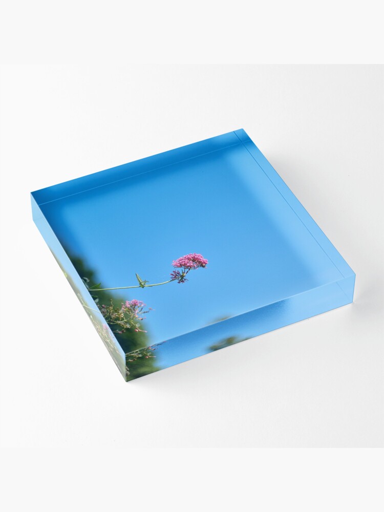 Alternate view of Blooming Pink Flower Acrylic Block